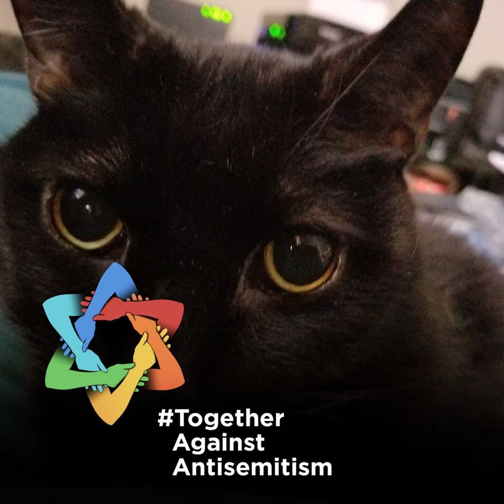 Meet your Posher, Ann